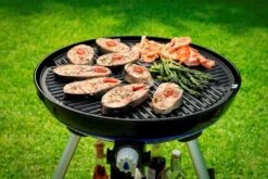 Cadac Carri Chef 50 BBQ Dome -World Of Camping 8910 carri chef 2 bbq rooster 1 4