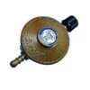 Camping Gas Regulator